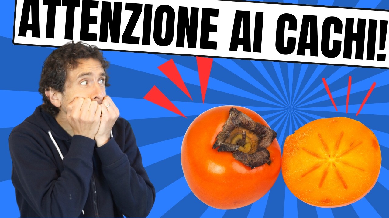 Cachi: calorie, benefici, proprietà e CONTROINDICAZIONI 🟠🟠🟠