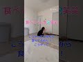 #サンシャインババア