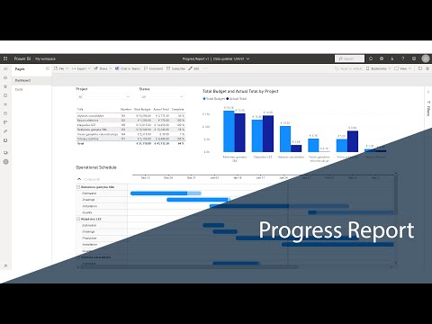 Project Progress Report
