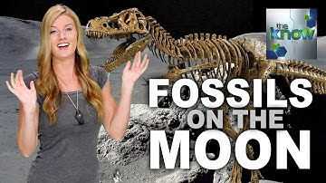There Could Be Dinosaur Fossils on the Moon - The Know