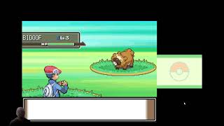 Route 201 | Pokemon Platinum