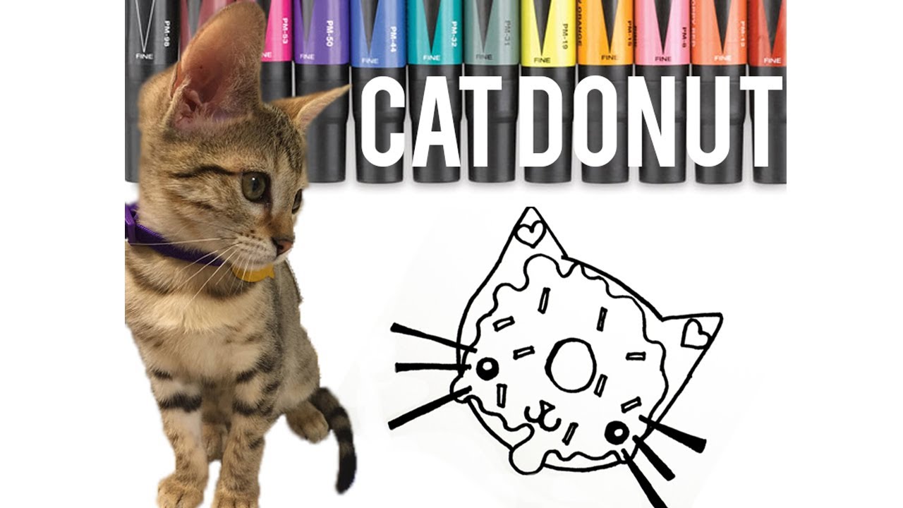 How to Draw and Color a Cat Donut For Children with The Coloring Cats