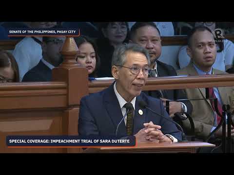 Diokno, Sison clash over defense's use of 'accused' label for Sara Duterte