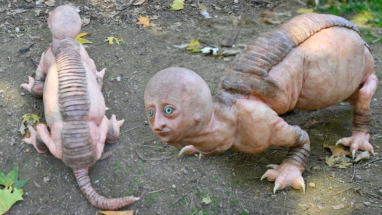 ⁣Top 10 Animales Que Nacen Solo Una Vez Cada Mil Años
