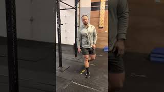 Supine Ring Rows/ Pike Pulses / Around the World