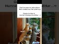 Dogeshbhai#memes #popular #viral #funnymemes #tweetreels #fake