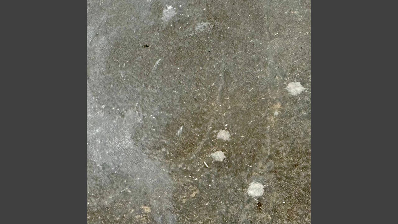 Omaggio a David Shapiro