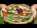 🎣🐸🦎🐢🐞 Nature Adventure: Catch &amp; Release Fish, Frogs, Turtles &amp; Crocodiles!