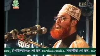 Delwar Hossain Sayeedi (Allah Siristir Bishalota)