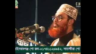 Delwar Hossain Sayeedi (Allah Siristir Bishalota)