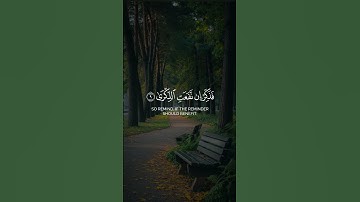 #قران_كريم #المصحف #صلوا_على_النبي #راحة_نفسية #حالات_واتساب #تلاوة_خاشعة #تلاوة_نادرة_لاول_مرة