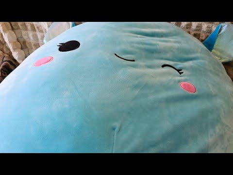 I won this squishmallow in school it is summer school which Is ras means Richmond Avenue school