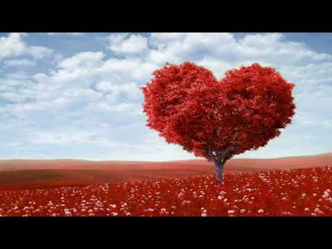 [everysing] 당신의 눈물