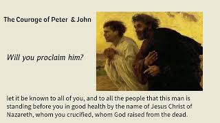 4/25/25 A Resurrection People in a Wounded World A Reflection for the First Week of Easter