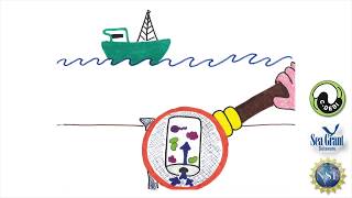 15 Second Science - Studying microbes beneath the sea floor