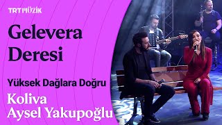 Koliva & Aysel Yakupoğlu | Gelevera Deresi (Canlı Performans) #YüksekDağlaraDoğru Resimi