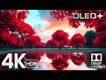 STUNNING VISUALS HDR • 4K 120FPS | Dolby Vision 8K/4K Video FOR TV TEST