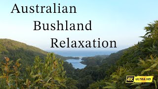Australian Bushland Relaxation - Cinematic Relaxation with Soft Acoustic Music screenshot 5