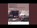 Miniature de la vidéo de la chanson String Quartet No. 13 In G Major, Op. 106, B. 192: Ii. Adagio Ma Non Troppo