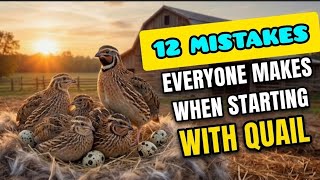 You Thought It Was Fine... but THESE 12 Quail Mistakes Will Ruin You!
