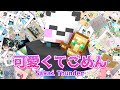可愛くてごめん feat.さかいさんだー🐼