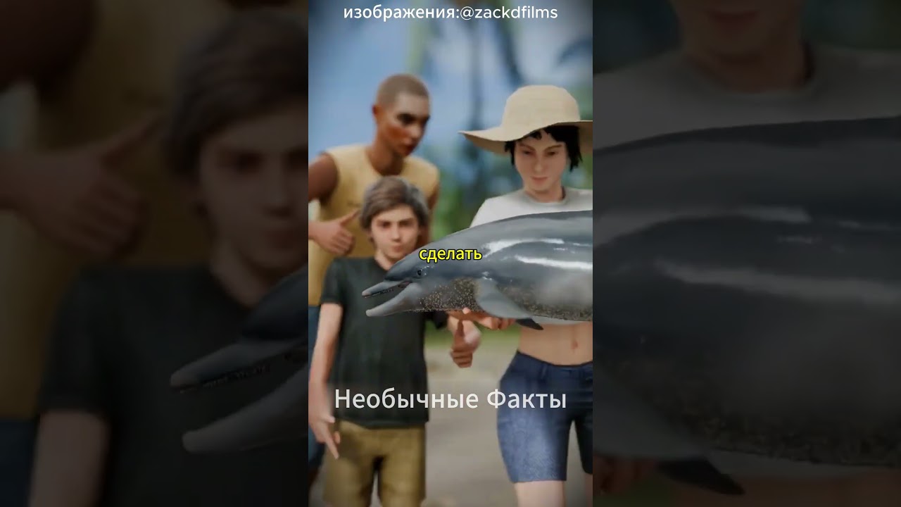 🐬😢 Туристы погубили детёныша дельфина ради фото