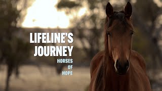 Lifeline Journey