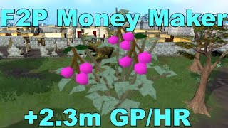 F2P Picking Cadava Berries Money Making Guide + 2.3m GP/HR (No Stats Required)