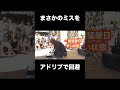 ミスった瞬間、アドリブ力だけで乗り切った大道芸人