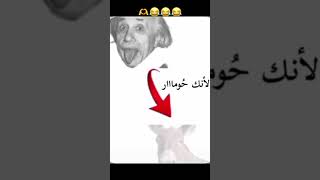 اينشتاين حمار ??