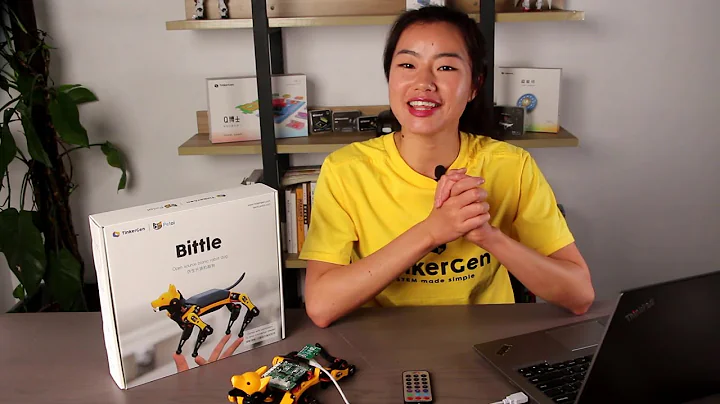 Bittle Introduction and Unboxing - Four-legged Bionic Robot from Petoi&TinkerGen