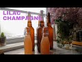 How to make sparkling wine at home with lilacs | Learn how to make a quick and easy cocktail!