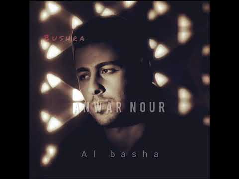 أنور نور الباشا