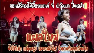 #แผลใหม่ และ เมดเลย์เพลงอกหัก | คอนเสิร์ตวงไม้เลื้อยแบนด์ ที่ ป.กุ้งเผาปิ่นเกล้า 