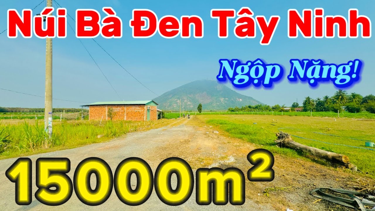 Bán đất mẫu ngộp view Núi Bà Đen Tây Ninh, đường xá khu dân cư ngon lành | Điền Thổ Tây Ninh