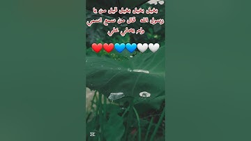 تلاوة تلامس القلوب وتجدد الإيمان بالله ✨️🤍💙