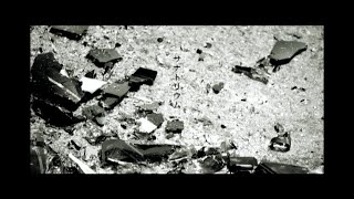 Plastic Tree - サナトリウム