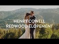 Redwood intimate wedding  sam and lindsey henry cowell state park  social media