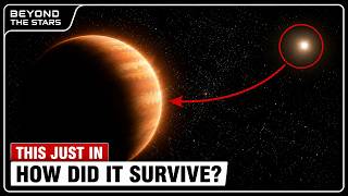 James Webb Found Something Strange Around a Dead Star