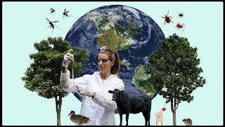 Details Disease Ecology on a Changing Planet Guide