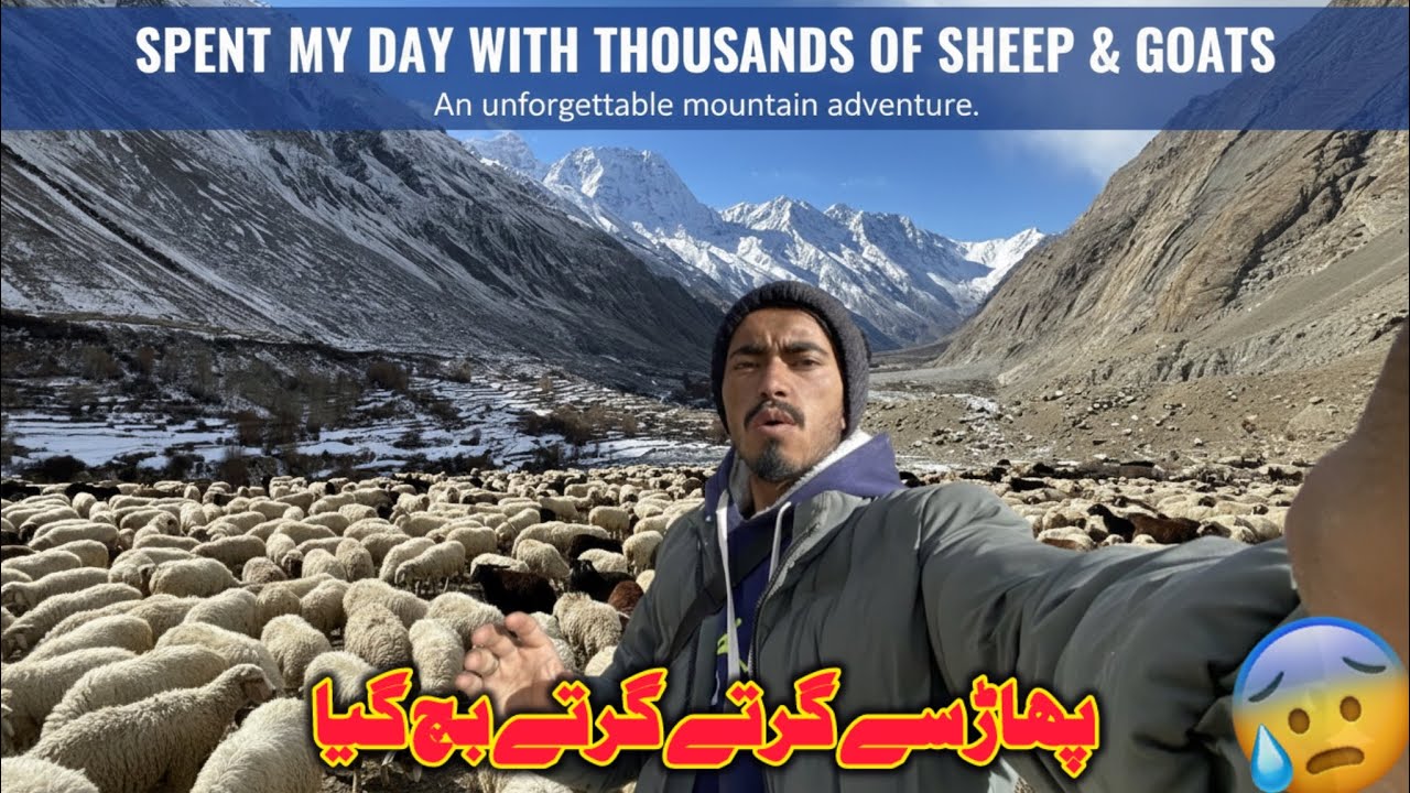 Spending a Full Day with Goats in the Dangerous Mountains | Life on the Edge