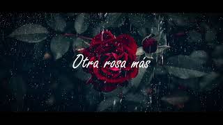 Zoreck - Otra rosa más - Ft Doedo - Dns Music