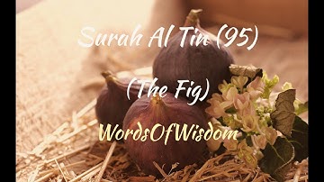Surah Al Teen 95 (The Fig) (سورة التين) #holy #quran #wordsofwisdom