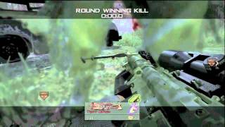 Dfish Sb Response