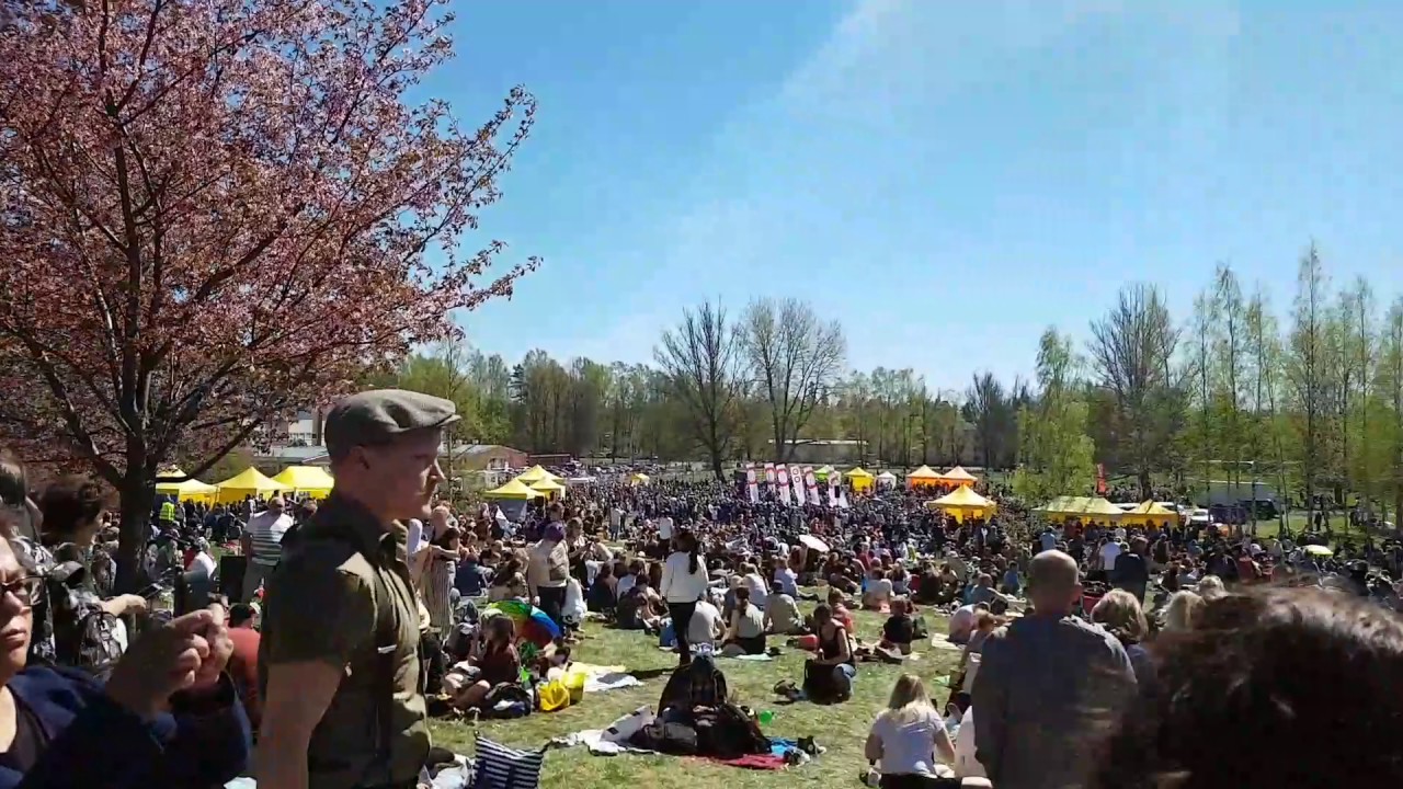 Spring/hanami/helsinki/2017 I