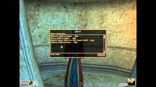 Ultimate Morrowind Guide - Steal Chimarvamidium
