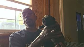Natural Birth Or C Section, Which Is Better For Your Dog #americanbully #pocketbully