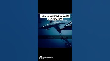 سورة الأنبياء ( 78-88)
