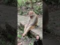 Aku ditinggalin mamah ❗❗#youtubeshorts #funnyvideo #viralvideo