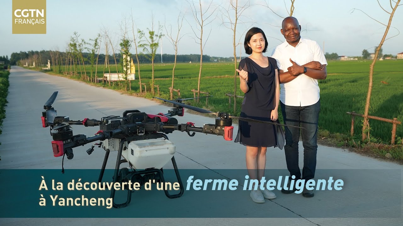 À la découverte d'une ferme intelligente à Yancheng en Chine